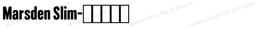 Marsden Slim字体转换
